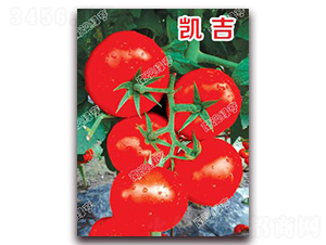 �P��-��t���ѷN��-�ϰľG��