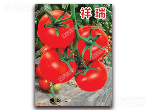 ����-��t���ѷN��-�ϰľG��