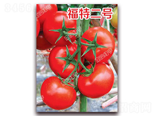 ���ض�̖(h��o)-��t���ѷN��-�ϰľG��