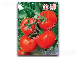 ����-��t���ѷN��-�ϰľG��