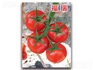 ����-��t���ѷN��-�ϰľG��