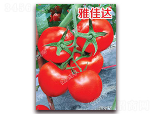 �ż��_(d��)-��t���ѷN��-�ϰľG��