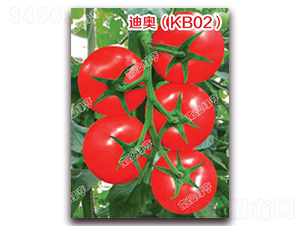 �ϊW��KB02��-��t���ѷN��-�ϰľG��