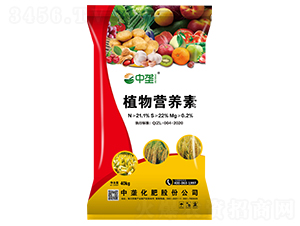 ֲ��I�B(y��ng)��-�Љ�