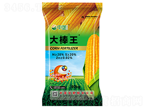 ���׌��÷�-�����-�Љ�