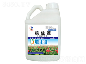 ̼ø�ך���-������-�߿���