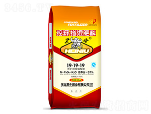 ��ጡ��������19-19-19-��ţ