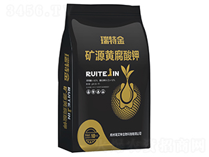 �VԴ�S�����-���ؽ�-����