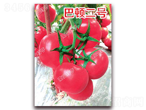 ���D��̖-�۹����ѷN��-�ϰľG��