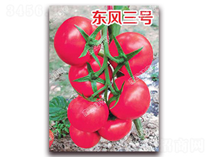 �|�L(f��ng)��̖-�۹����ѷN��-�ϰľG��