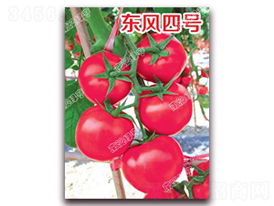 �|�L(f��ng)��̖-�۹����ѷN��-�ϰľG��