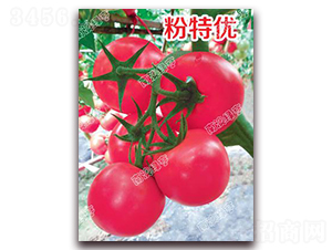 ���؃�(y��u)-�۹����ѷN��-�ϰľG��