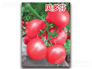 ؐ���-�۹����ѷN��-�ϰľG��