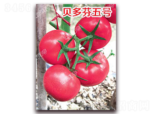 ؐ�����̖-�۹����ѷN��-�ϰľG��