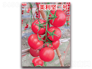 �����Զ�̖-�۹����ѷN��-�ϰľG��