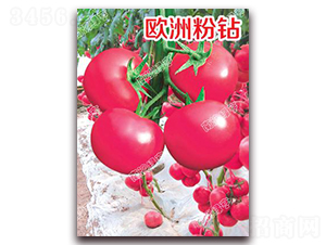 �W�޷��@-�۹����ѷN��-�ϰľG��