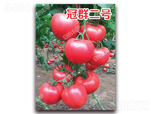 ��Ⱥ��̖-�۹����ѷN��-�ϰľG��