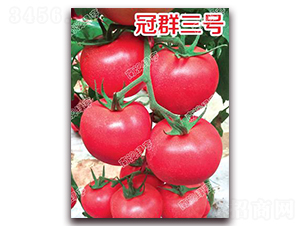 ��Ⱥ��̖-�۹����ѷN��-�ϰľG��