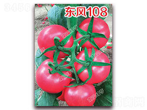 �|�L(f��ng)108-�۹����ѷN��-�ϰľG��