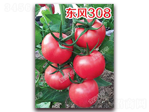 �|�L(f��ng)308-�۹����ѷN��-�ϰľG��