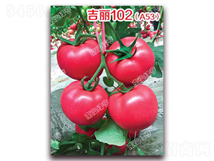 ����102��A53��-�۹����ѷN��-�ϰľG��