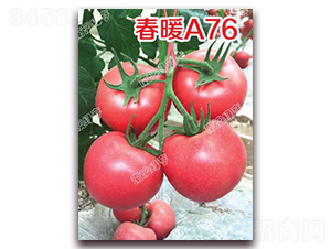 ��ůA76-�۹����ѷN��-�ϰľG��