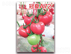 ����A72-�۹����ѷN��-�ϰľG��