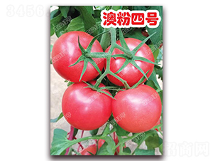 �ķ���̖(h��o)-�۹����ѷN��-�ϰľG��