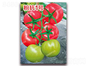 �ۿ�1̖-�۹����ѷN��-�ϰľG��