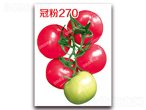 冠粉270-粉果番茄種子-南澳綠亨