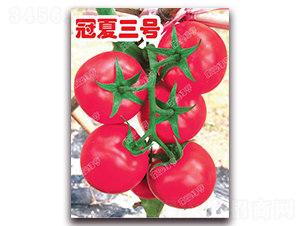 ������̖(h��o)-�۹����ѷN��-�ϰľG��