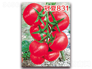 ����831-�۹����ѷN��-�ϰľG��