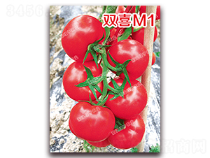 �pϲM1-�۹����ѷN��-�ϰľG��