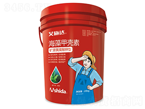 ����ך���-��ʩ�_(d��)