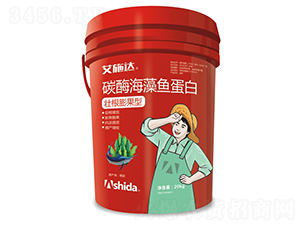 ̼ø�����~����-��ʩ�_(d��)