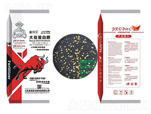 �󶹵��׷�-�Ν��l(f��)-ʢ�����B(t��i)