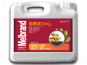 5kg�����(d��ng)��100��-���괺