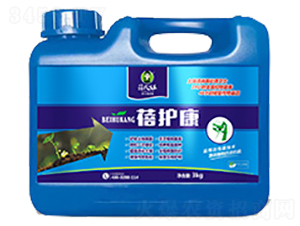 ����������������-���o��-�����-��������