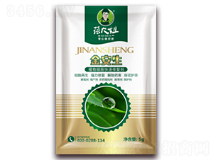 ֲ�：�������ޏ̈́�-����-�����