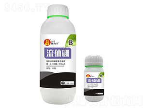 ���w���-�T���S����