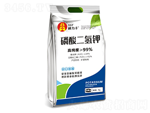 �������⛷�-�T���S����