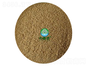 �ݲ�ѿ�ߗU����1000�|-g��ȫˮ�ܣ�-����Ȫ