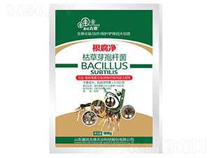 ���������ݲ�ѿ�ߗU��-�w͢�ŵ�-�_(k��i)��(y��u)�r(n��ng)�I(y��)