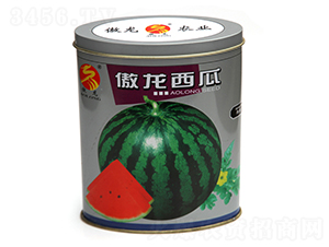 ��������-���ϷN��-����