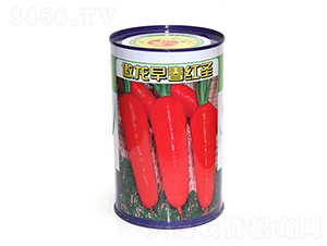 ����?zh��)ؼ����t-�t�}���N��-����