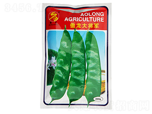 ������܊-�Ͷ��N��-����