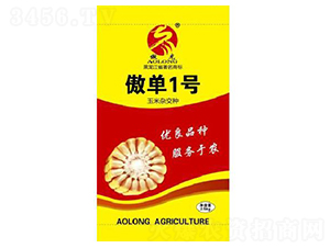 ����1̖-���׷N��-����