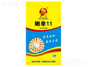 �ۆ�11-���׷N��-����