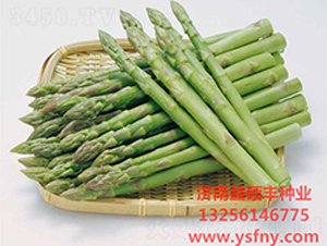 ʢ�S�G1̖-�J�S�N��-��T�S�r(n��ng)�I(y��)