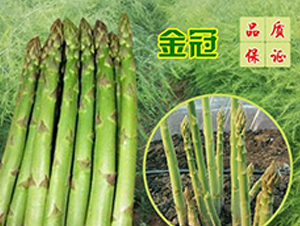 ���F1-�J�S�N��-��T�S�r(n��ng)�I(y��)